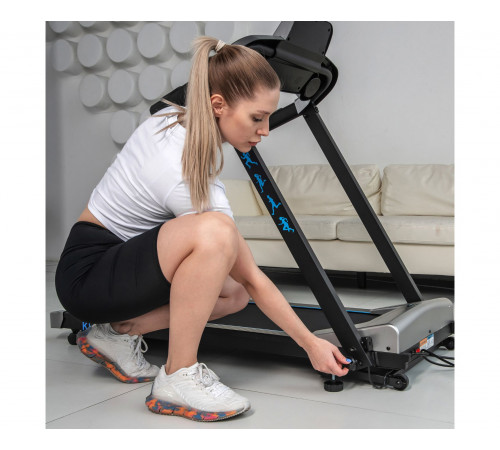 Беговая дорожка DFC KENGURY T122S