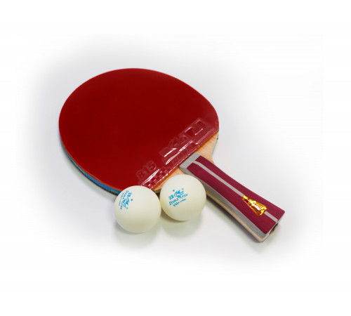 Ракетка для н/т Double Fish (2A+C серия)