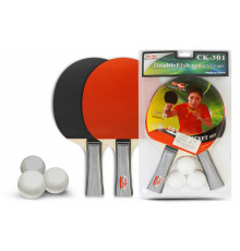 Набор для н/т Double Fish 2 ракетки и 3 мяча (301)